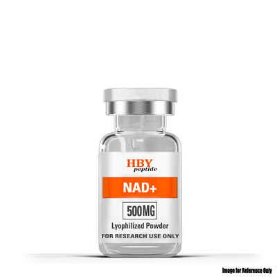 quality Poudre Lyophilisée de NAD+ | Stimule l'Énergie Cellulaire et le Vieillissement Sain factory